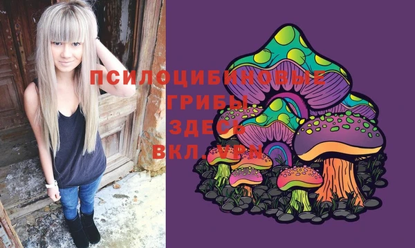 ешки Бугульма