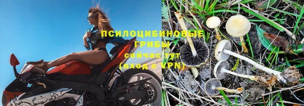 мяу мяу кристалл Бородино