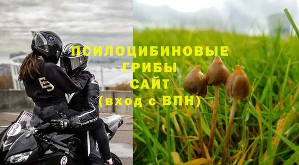 мяу мяу кристалл Бородино