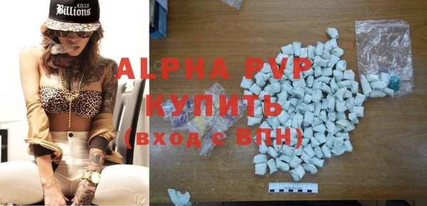 спиды Богородск