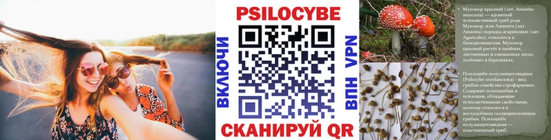 Галлюциногенные грибы мухоморы где можно купить наркотик Грязовец