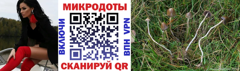 Псилоцибиновые грибы Magic Shrooms Грязовец